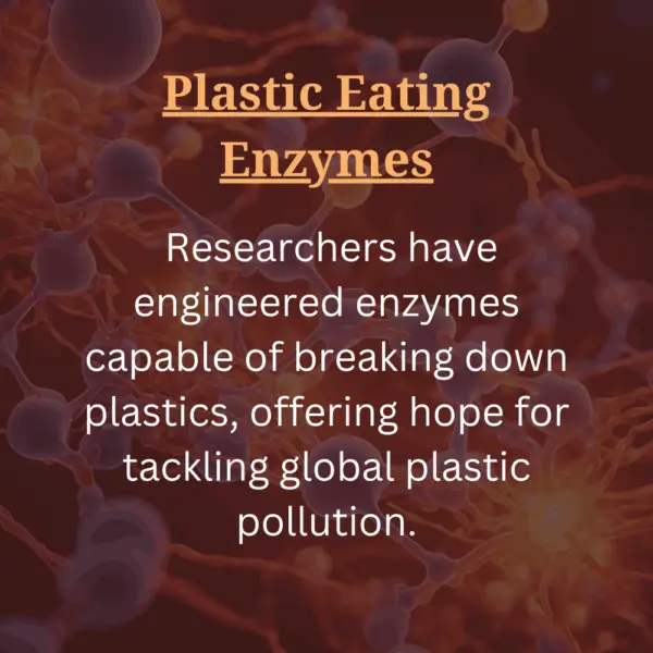 Enzyme fact