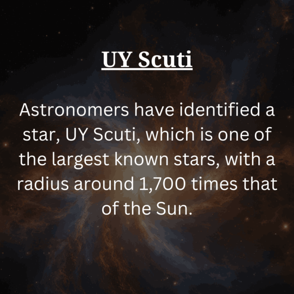 Largest star Fact